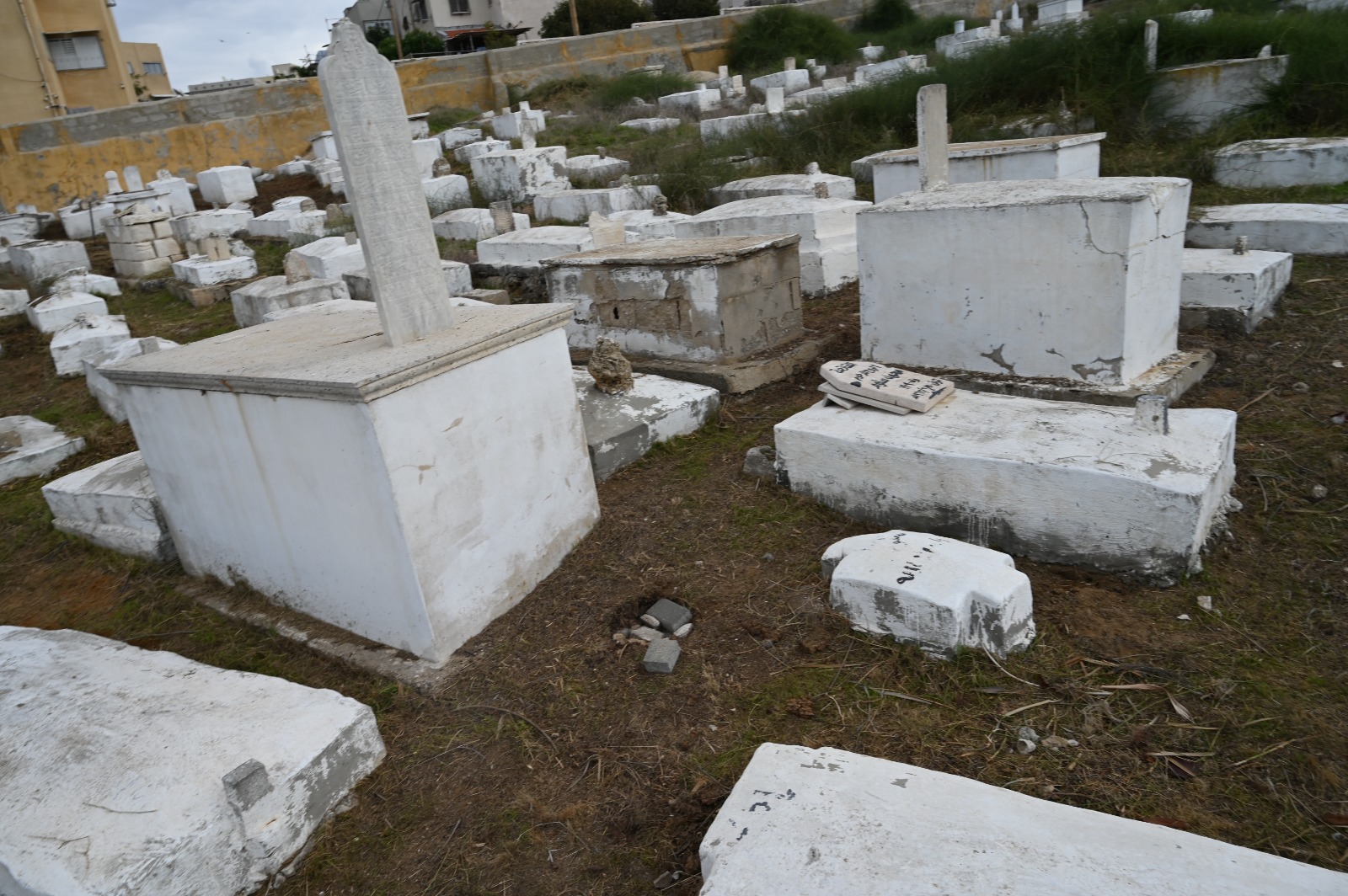 WhatsApp Image 2022-11-30 at 3.24.58 PM.jpeg